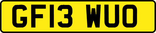 GF13WUO
