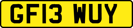 GF13WUY