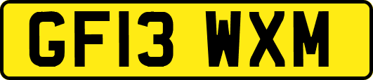 GF13WXM