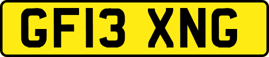GF13XNG