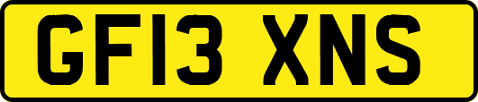 GF13XNS
