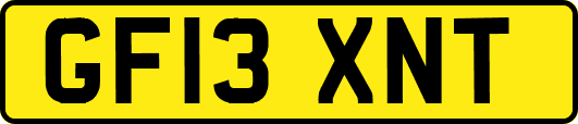 GF13XNT