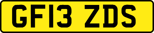 GF13ZDS