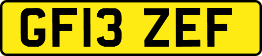 GF13ZEF