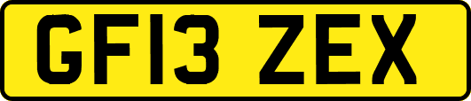 GF13ZEX