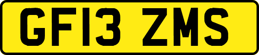 GF13ZMS