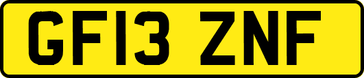 GF13ZNF