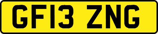 GF13ZNG