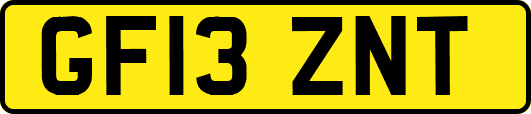 GF13ZNT