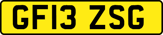 GF13ZSG