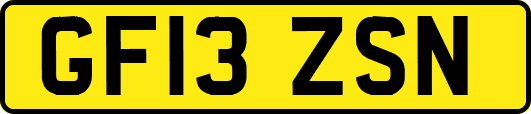 GF13ZSN