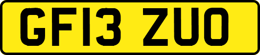 GF13ZUO