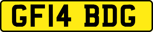 GF14BDG