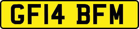 GF14BFM