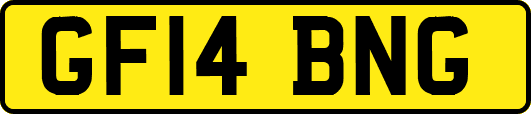 GF14BNG