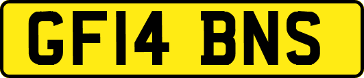 GF14BNS