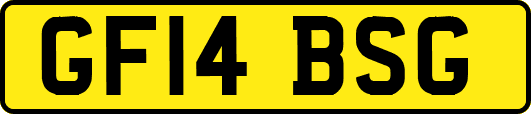 GF14BSG