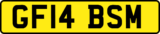 GF14BSM