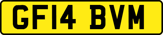 GF14BVM