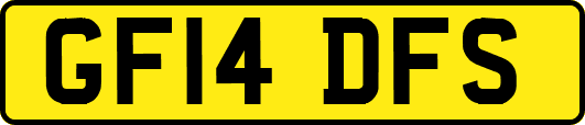 GF14DFS