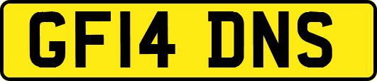 GF14DNS