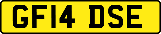 GF14DSE