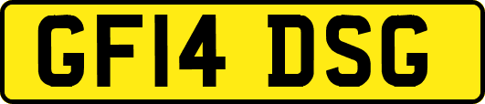 GF14DSG