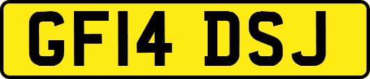 GF14DSJ