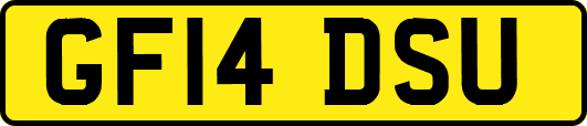 GF14DSU