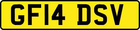 GF14DSV