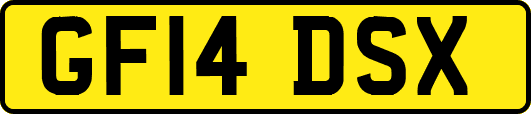 GF14DSX