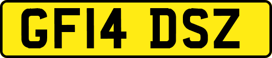 GF14DSZ