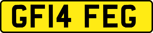 GF14FEG