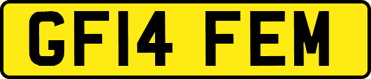 GF14FEM