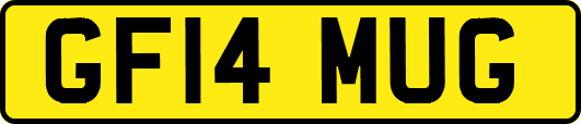 GF14MUG