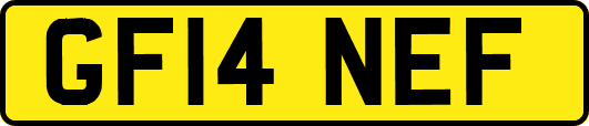 GF14NEF
