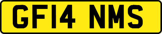 GF14NMS