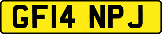 GF14NPJ