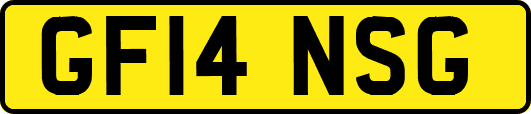 GF14NSG