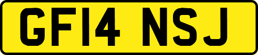GF14NSJ