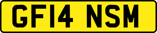 GF14NSM