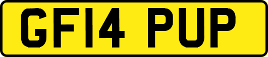 GF14PUP
