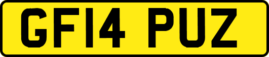 GF14PUZ