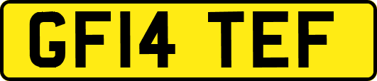 GF14TEF
