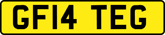 GF14TEG