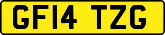GF14TZG
