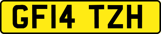 GF14TZH