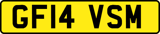 GF14VSM
