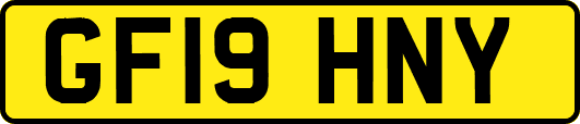 GF19HNY