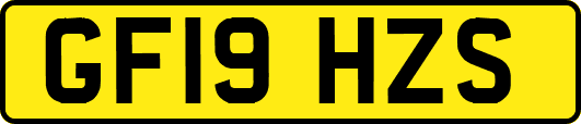GF19HZS